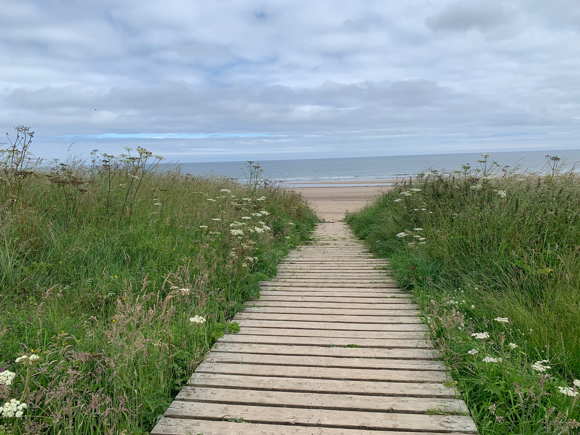 Northumberland Coastal Path - Cresswell to Druridge Bay