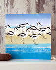 Avocets | Greetings Card